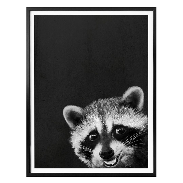 Poster Graves - Racoon - WA280617