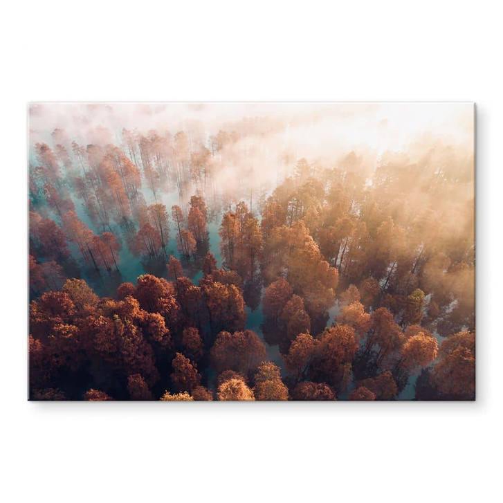 Acrylglasbild Herbstwald im Nebel - Ioricon - WA392419