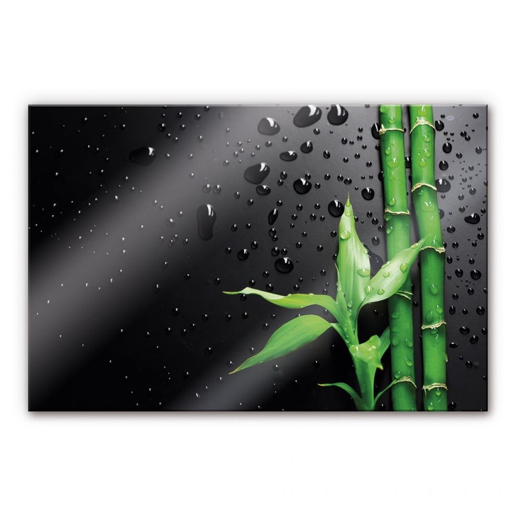 Acrylglasbild Bamboo Over Black - WA107047