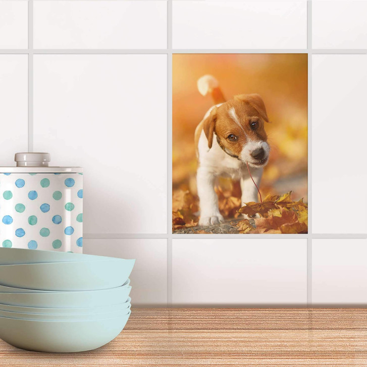 Fliesensticker - Jack the Puppy - CR104924