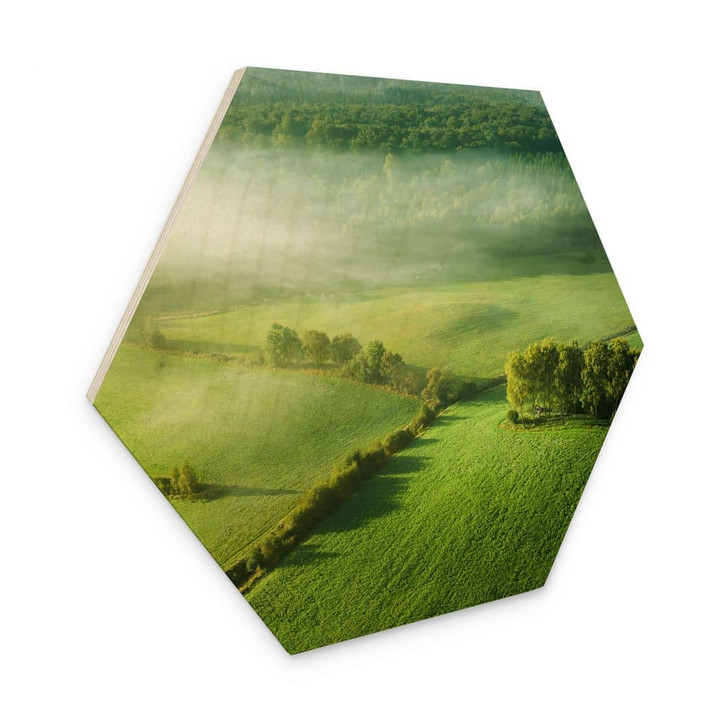 Hexagon Holzbild Idyllische Felder im Nebel - Keller - WA432354
