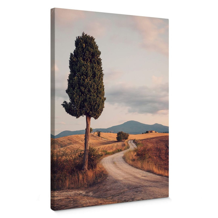 Leinwandbild Colombo - Zypressenweg - WA360917