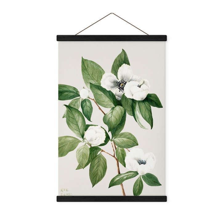 Stoffbild Botanik Illustration einer Scheinkamelie - Walcott - WA412002