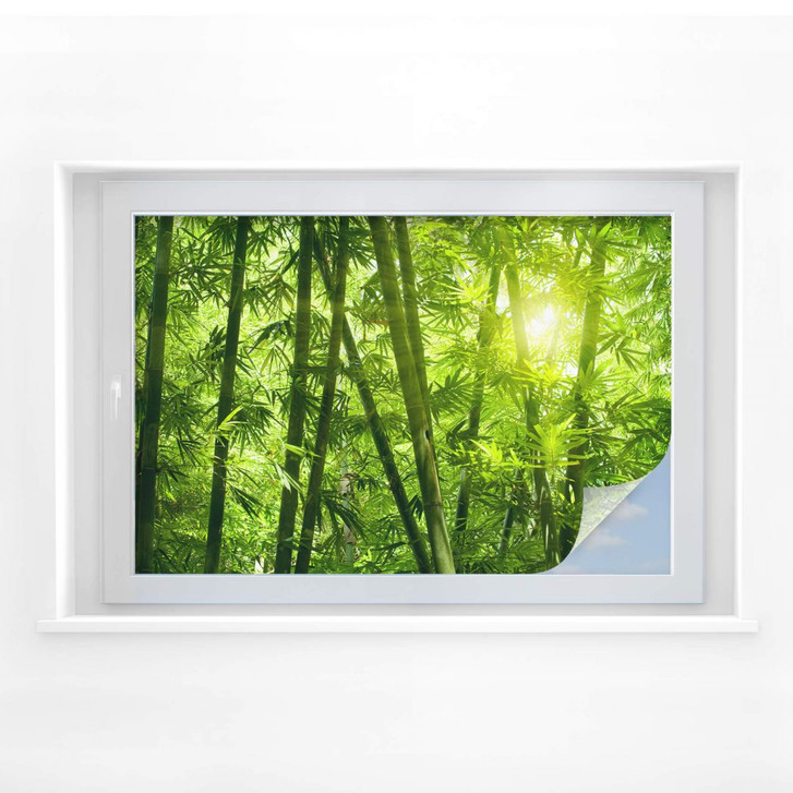 Sichtschutzfolie Sonnenschein im Bambuswald - WA176902