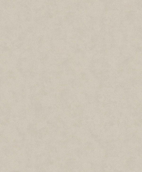 Vliestapete mit moderner einfarbiger Optik und Struktur in beige Uni - WA444629