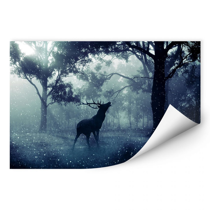Wallprint Hirsch im Morgenwald - WA184521