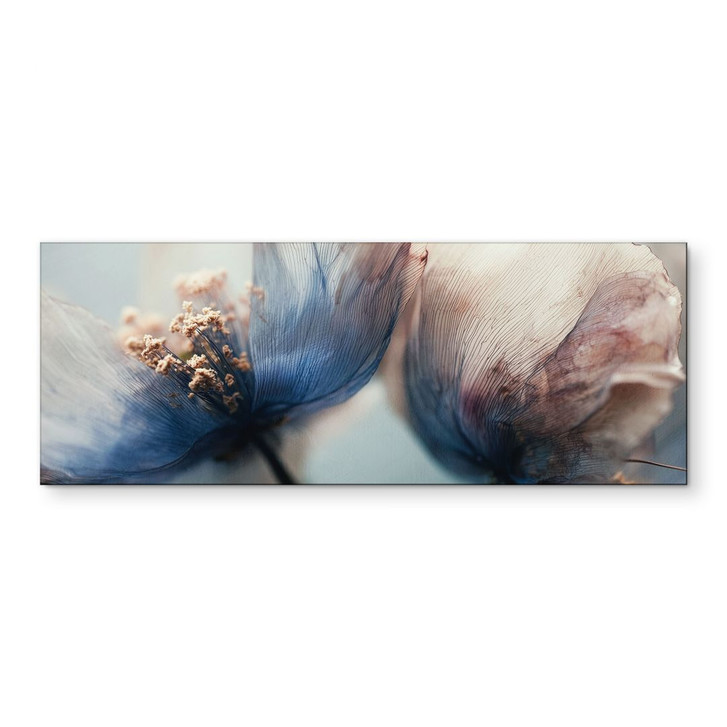 Wandbild Filigrane Trockenblüten im Licht - Treechild - Alu-Dibond Panorama - WA492348