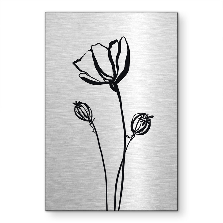 Alu-Dibond gebürstet mit Silbereffekt - Line Art Mohnblume - Cats & Dotz - WA514060