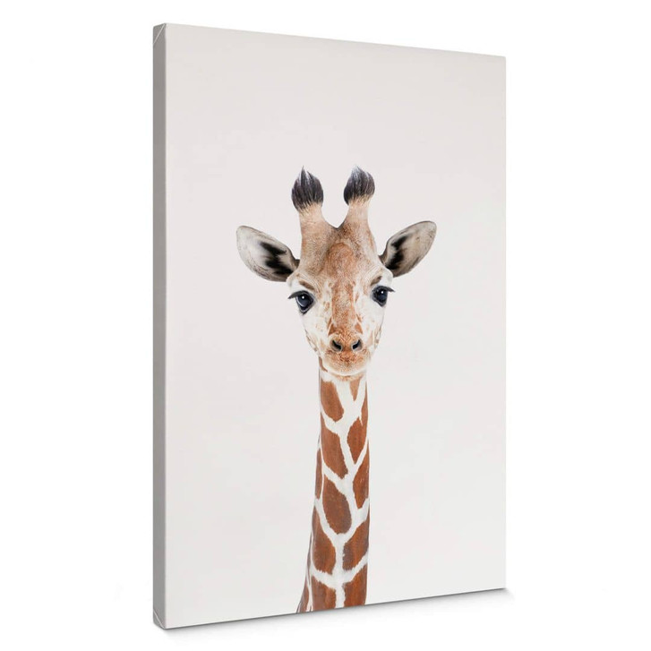 Leinwandbild Sisi & Seb - Baby Giraffe - WA374779