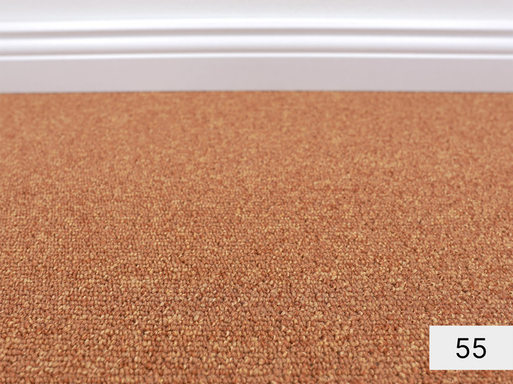 Master Schlingen Teppichboden Meterware in 55 - TS489667