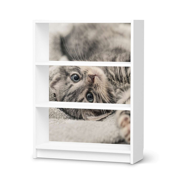 Möbelfolie IKEA Billy Regal 3 Fächer - Kitty the Cat - CR114432