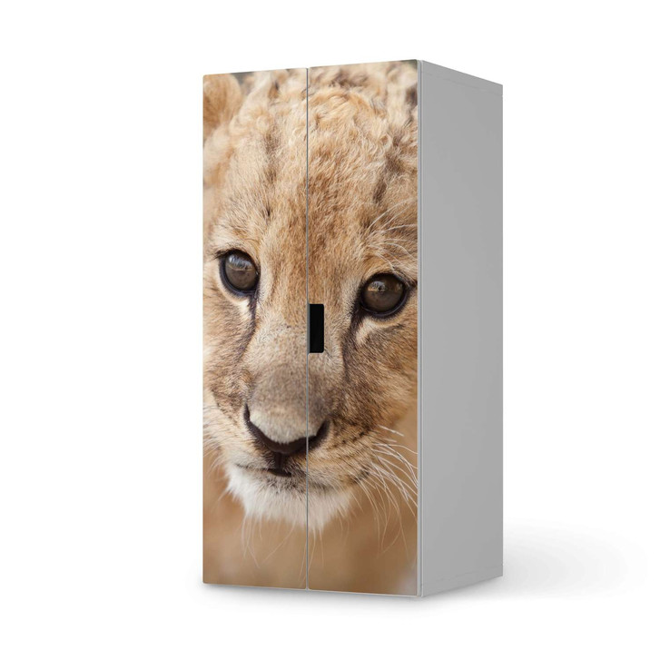 Möbelfolie IKEA Stuva / Malad Schrank - 2 grosse Türen - Simba - CR118007