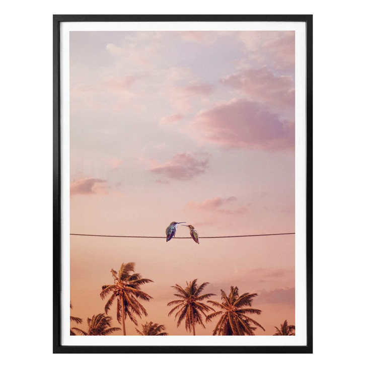 Poster Loose - Hummingbirds in Love - WA300878