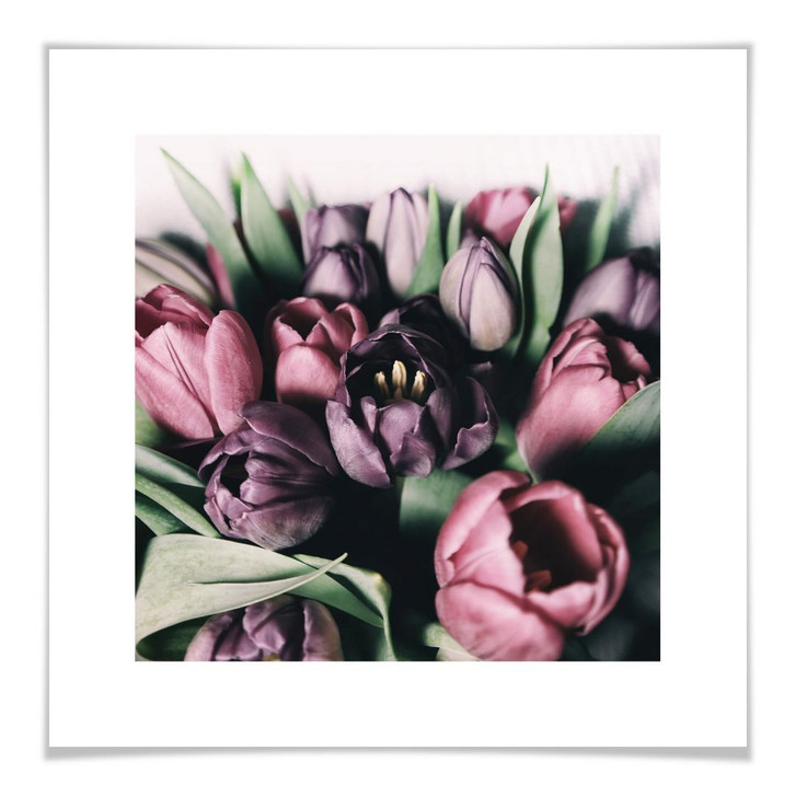 Poster Tulpenstrauss - WA259149
