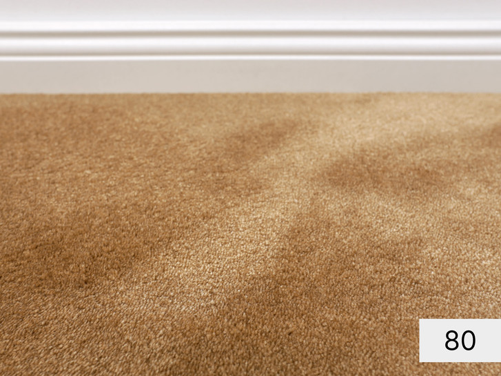 Séduction Velours Teppichboden Meterware in 80 - TS504052