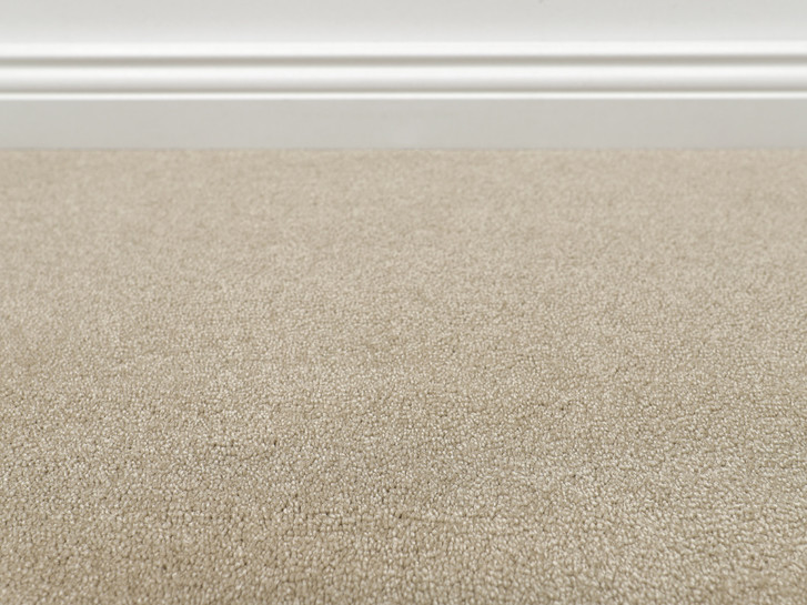 Vorwerk® Opera Teppichboden Meterware in 8l84 - TS546589