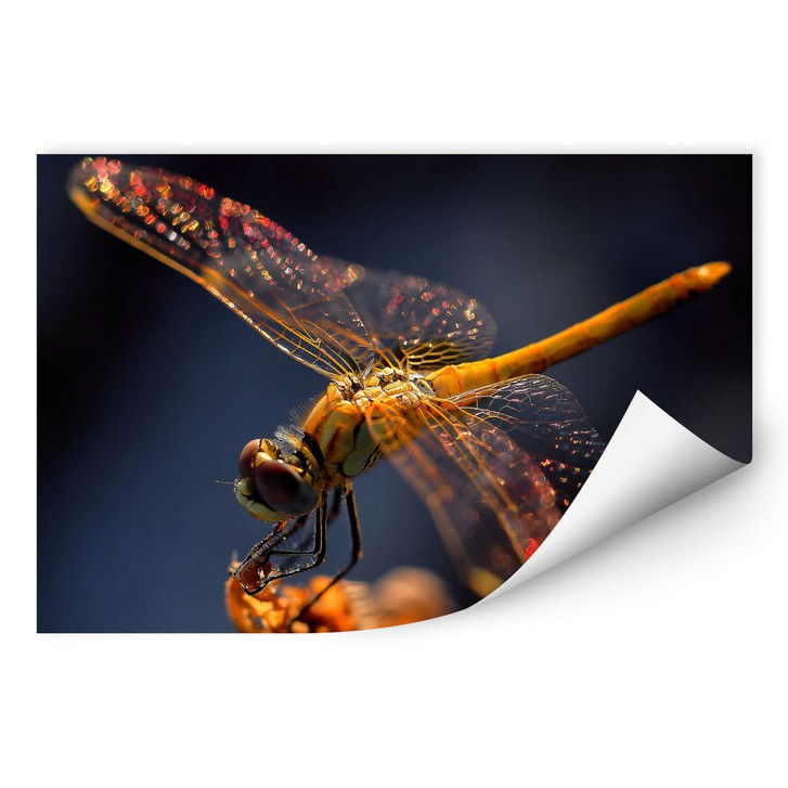 Wallprint Dufour - Libelle auf Tuchfühlung - WA241839