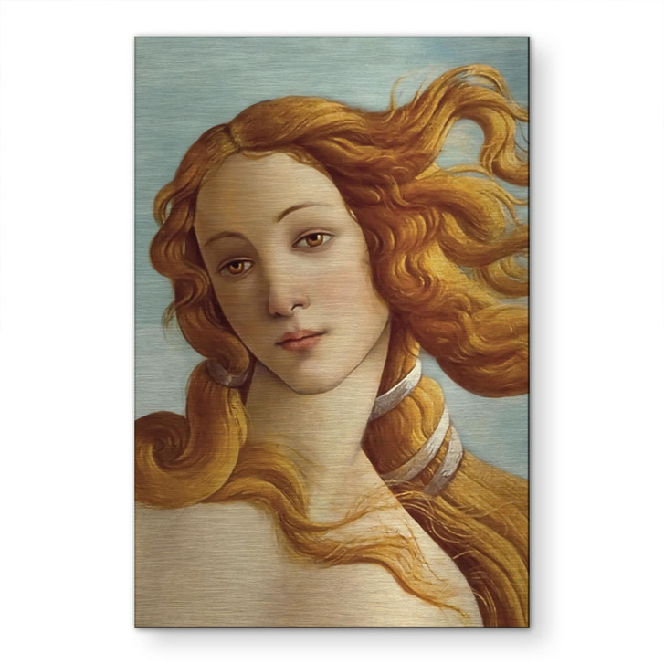 Alu-Dibond gebürstet mit Silbereffekt - Portrait der Venus - Botticelli - WA514876