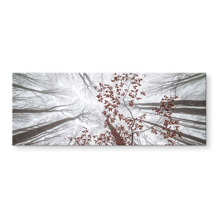 Glasbild Baumkronen mit roten Blättern - Panorama - Coman - WA399911