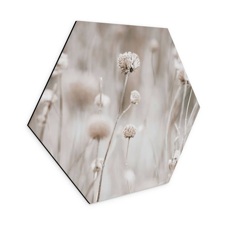 Hexagon Wandbild Getrocknete Blüten in sanften Tönen - Annie - Alu-Dibond - WA464668