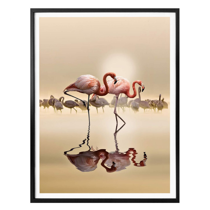 Poster Osman - Flamingo - WA285874
