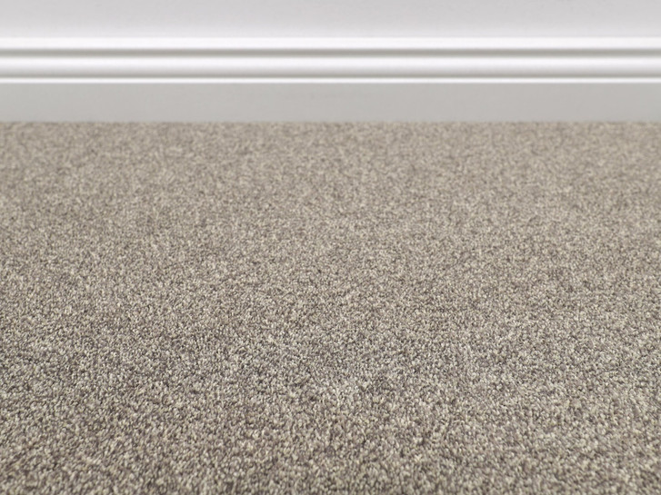 Evolve Teppichboden Meterware in 38 - TS554204