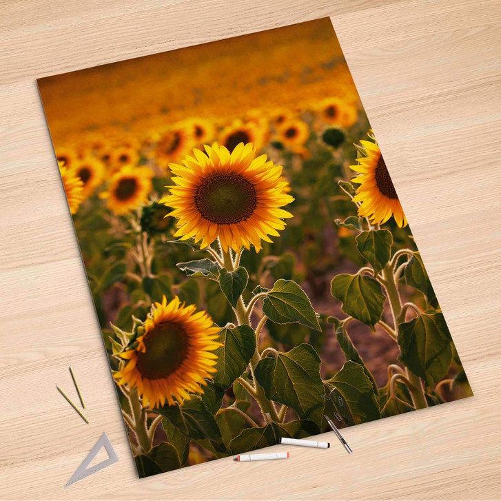 Folienbogen (100x150cm) - Sunflowers - CR106277