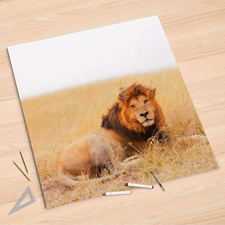 Folienbogen (90x90cm) - Lion King - CR107601