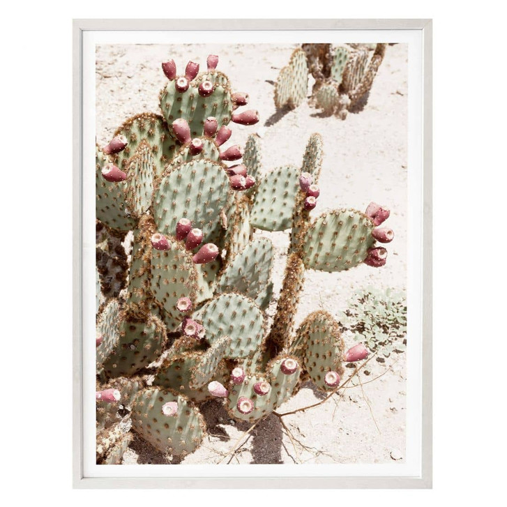 Poster Hugonnard - Feigenkaktus - WA323155