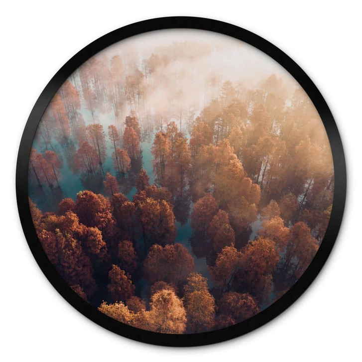 Poster Rund Herbstwald im Nebel - Ioricon - Rund - WA406354
