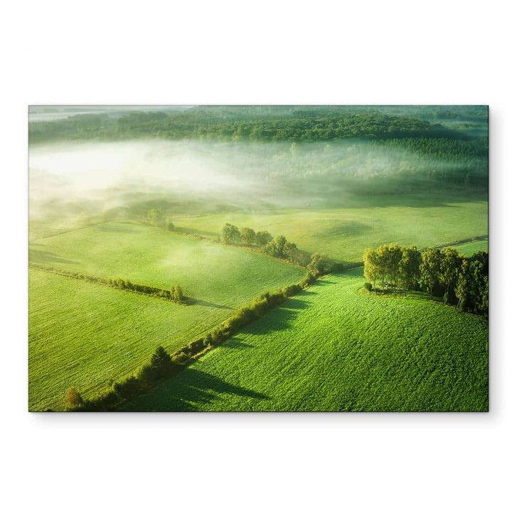 Wandbild Idyllische Felder im Nebel - Keller - Alu-Dibond - WA431263