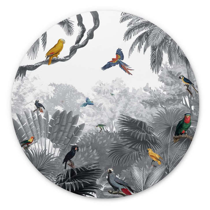 Alu-Dibond Kikki Belle - Tropische Vögel schwarz-weiss - Rund - WA352076