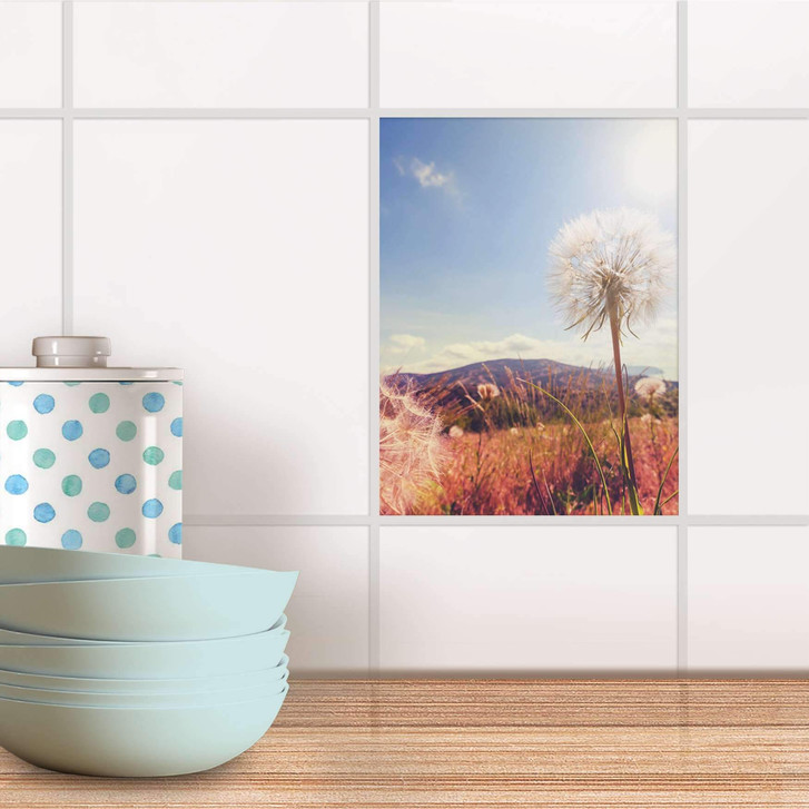 Fliesensticker - Dandelion - CR104861