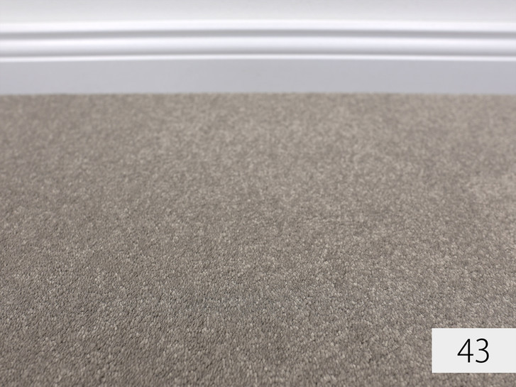 Anemone Velours Teppichboden Meterware in 43 - TS487836