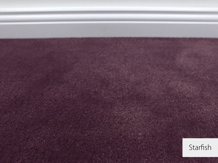 Emily Velours Teppichboden Meterware in Starfish - TS479938