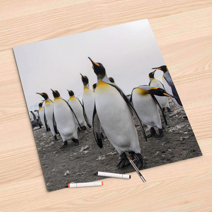 Folienbogen (60x60cm) - Penguin Family - CR107153