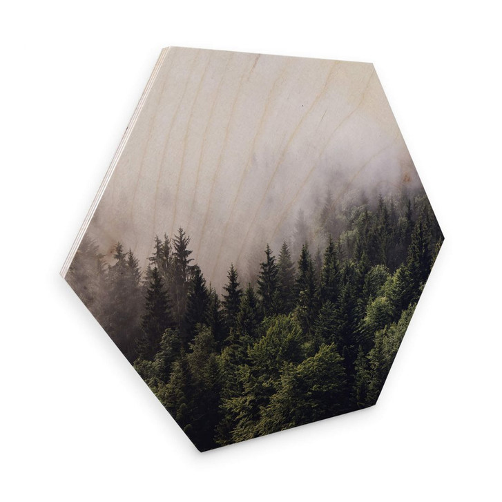 Hexagon - Holz Birke Furnier Nebliger Wald - WA306301
