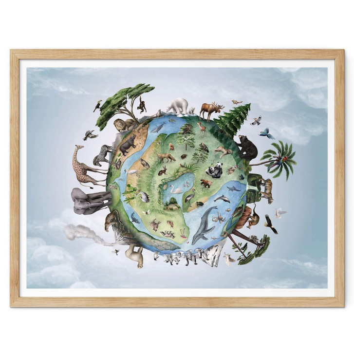 Poster Kikki Belle - Welt der Tiere - WA379704