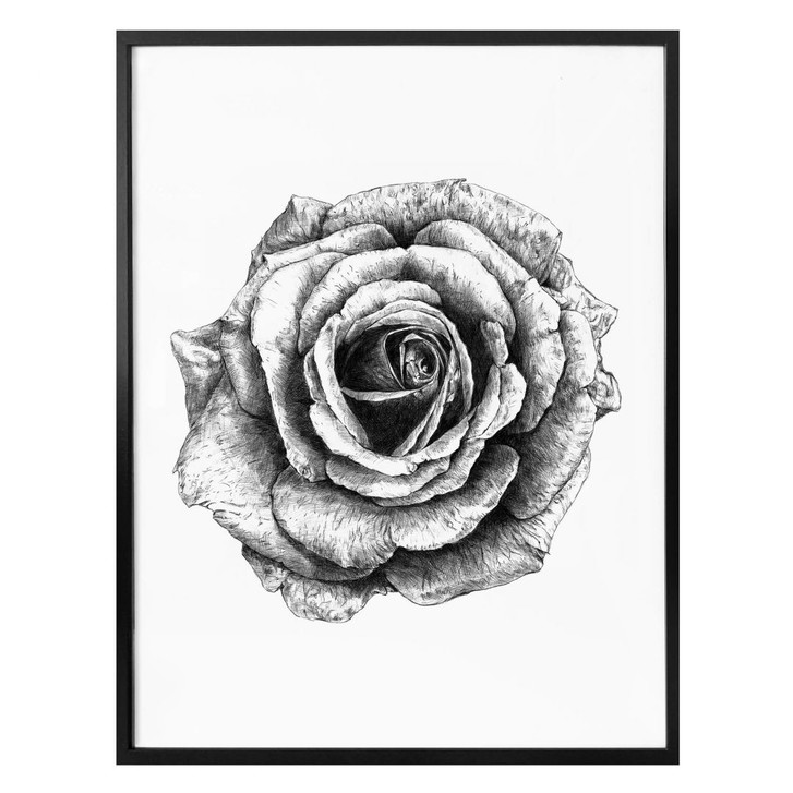 Poster Kools - Rose - WA281215