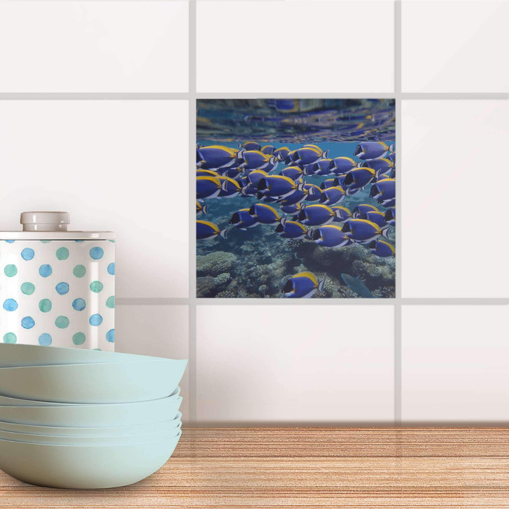 Fliesenaufkleber - Fish swarm - CR100944