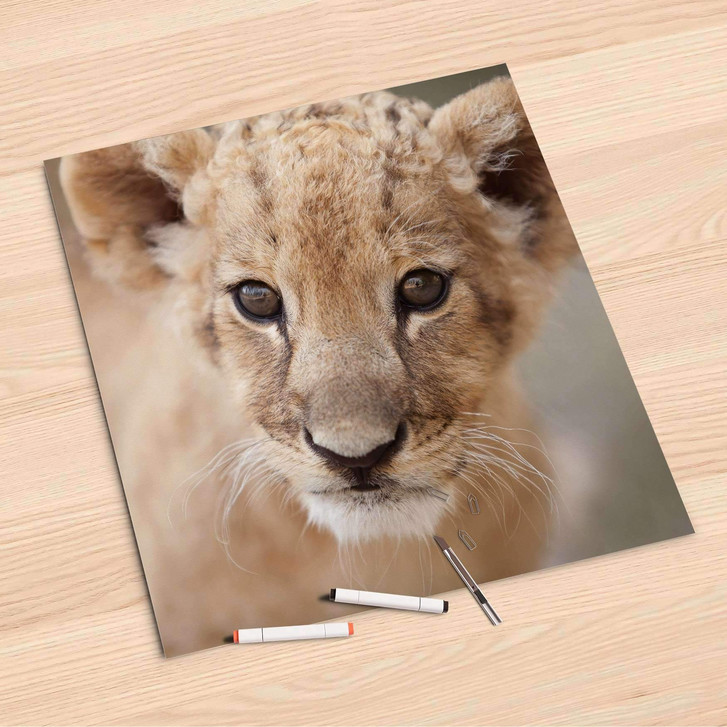 Folienbogen (60x60cm) - Simba - CR107184