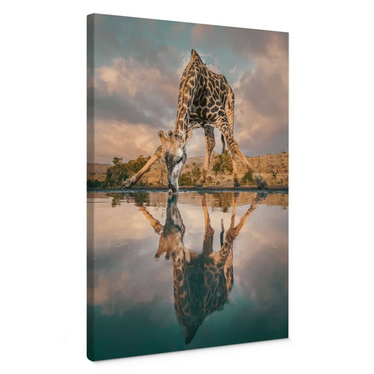 Leinwandbild Reflexion einer Giraffe in der Wildnis - Amtmann - WA432929