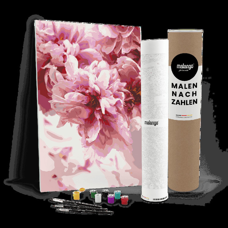 Malen nach Zahlen Leinwandbild - Rosen zur Blüte - WA446783