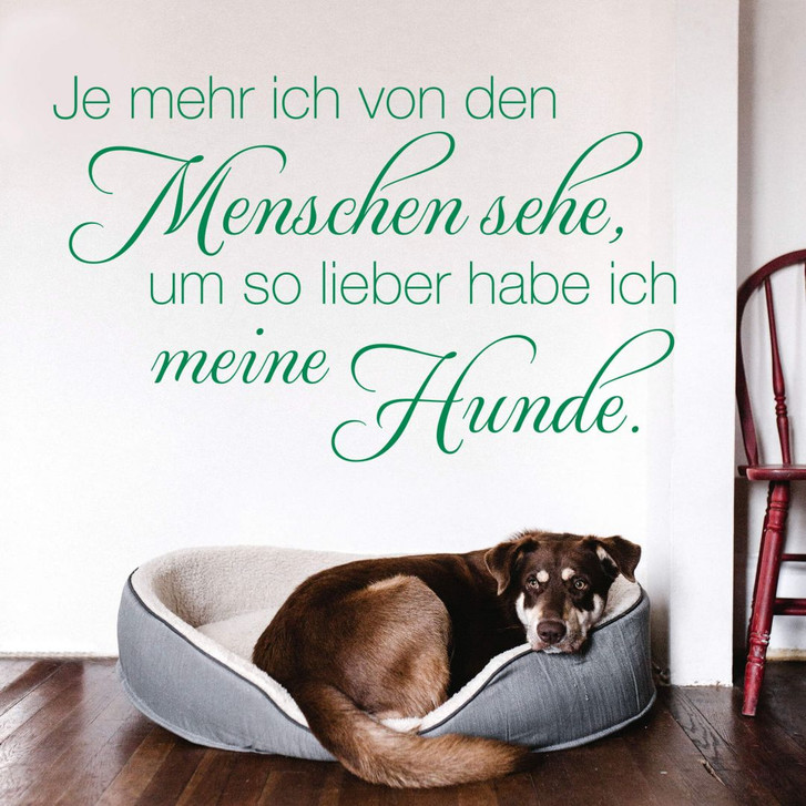 Wandtattoo Je mehr ich von den Menschen sehe... - WA212878