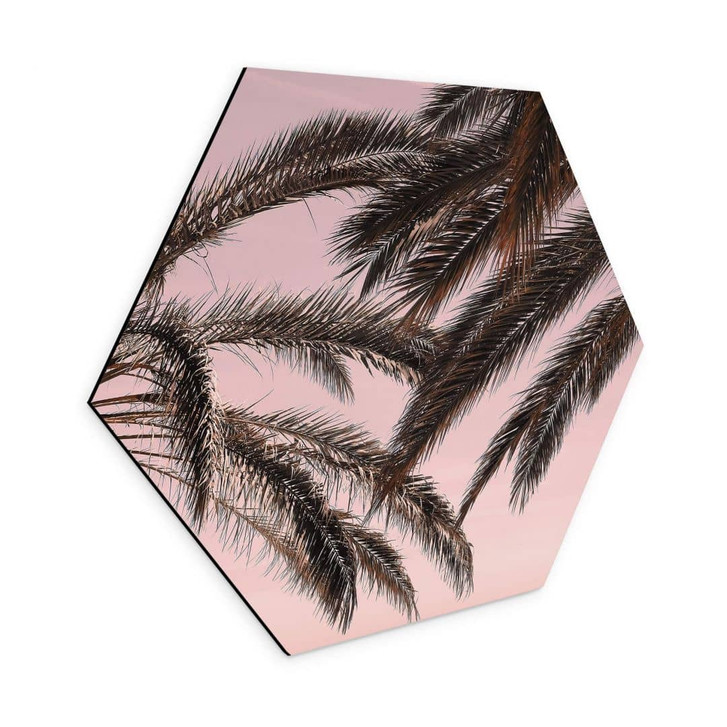 Hexagon - Alu-Dibond 1X Studio - Palmen - WA340690