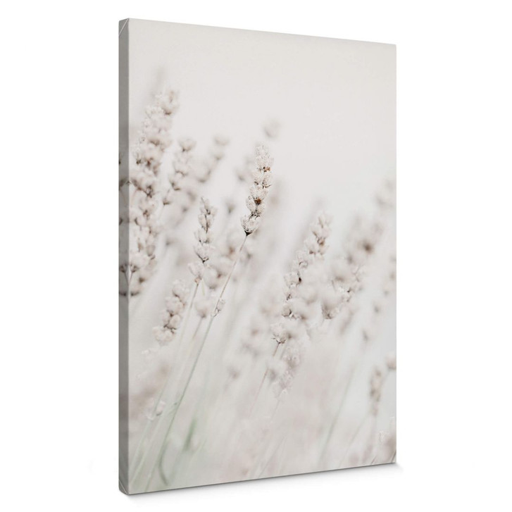 Leinwandbild 1X Studio - Feine Gräser - WA346921