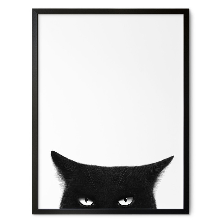 Poster Blick einer schwarzen Katze - Korenkova - WA514831