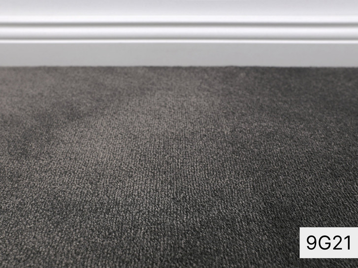 Safira Vorwerk Teppichboden Meterware in 9G21 - TS521053