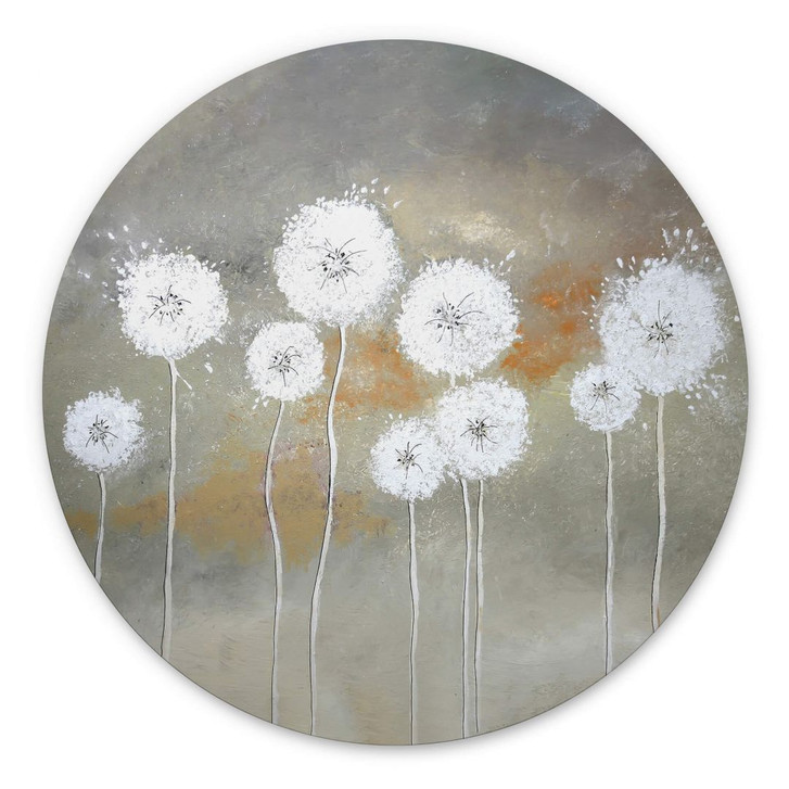 Wandbild Weisse Pusteblumen - Alu-Dibond Rund - Melz - WA393501