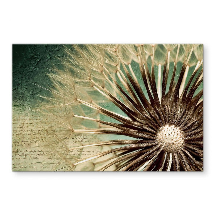 Acrylglasbild Pusteblumen-Poesie - WA110618